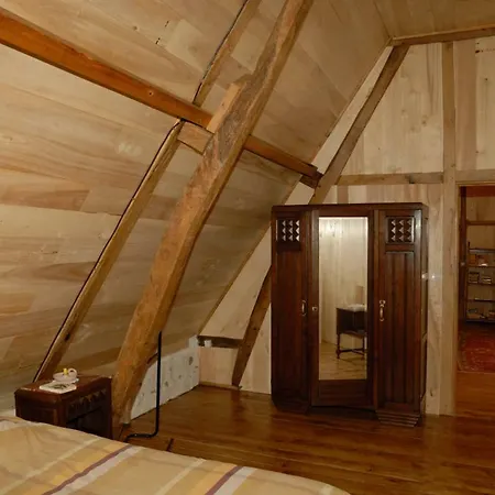 Tatil Evi Comic Vidouze